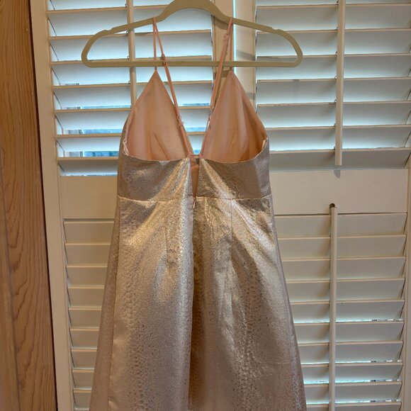 Champagne cocktail mini dress - Picture 2 of 4